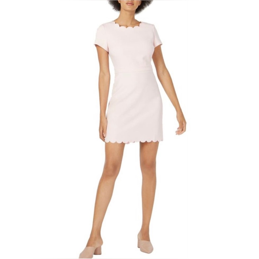 NWT Women’s Scalloped Sheath Dress XL